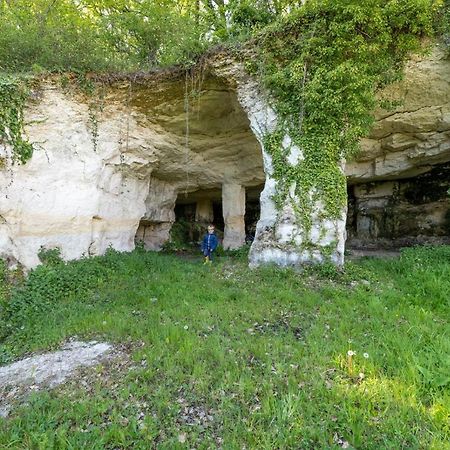 Вілла Logis De Bois Roche Saint-Bonnet-sur-Gironde Екстер'єр фото