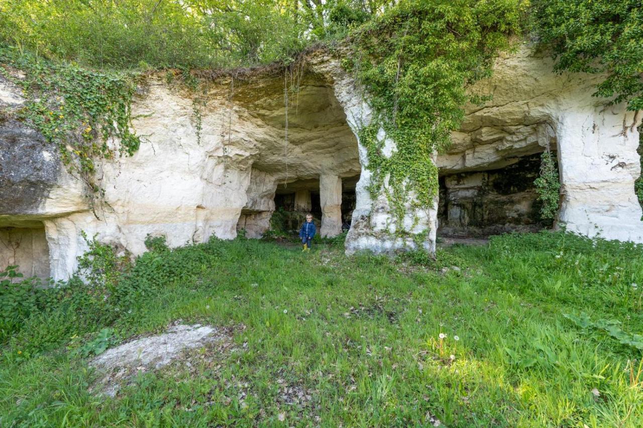 Вілла Logis De Bois Roche Saint-Bonnet-sur-Gironde Екстер'єр фото