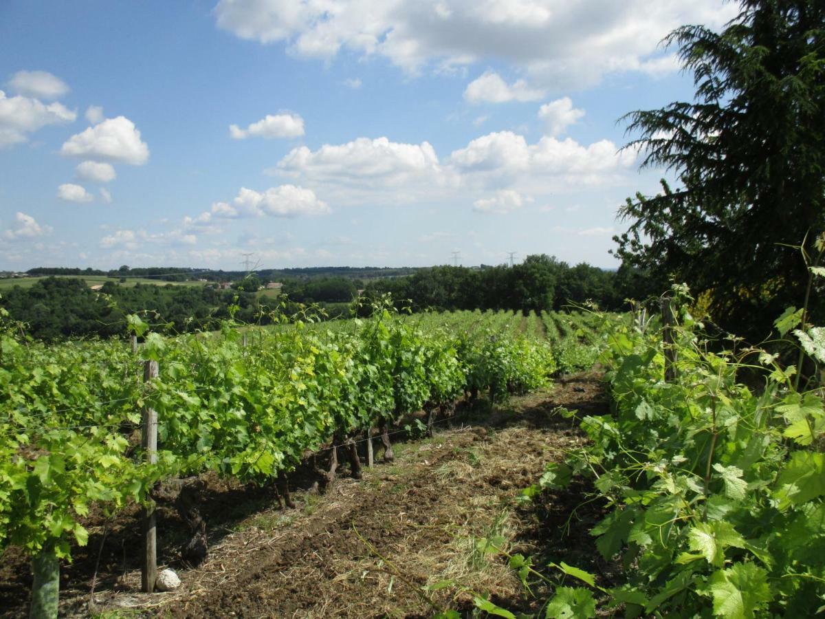 Вілла Logis De Bois Roche Saint-Bonnet-sur-Gironde Екстер'єр фото