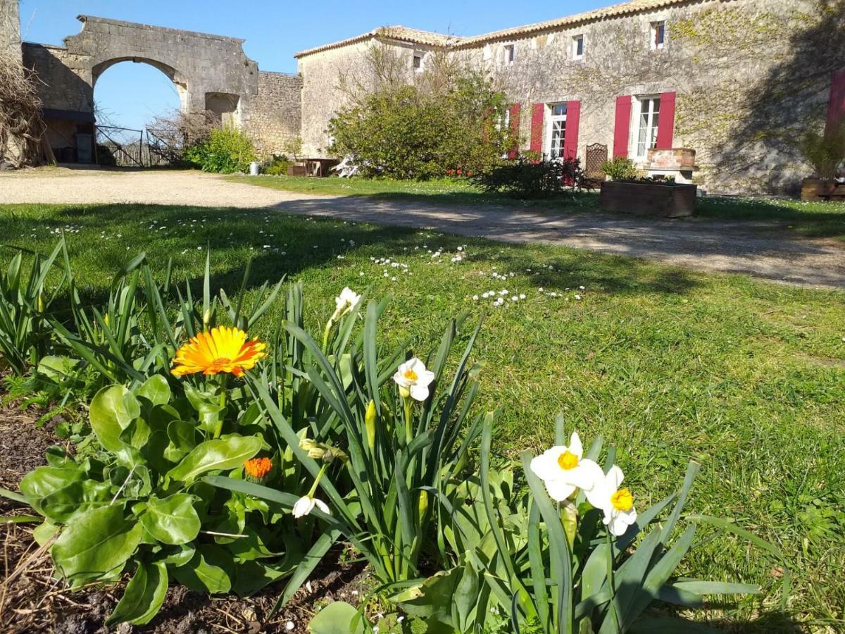 Вілла Logis De Bois Roche Saint-Bonnet-sur-Gironde Екстер'єр фото