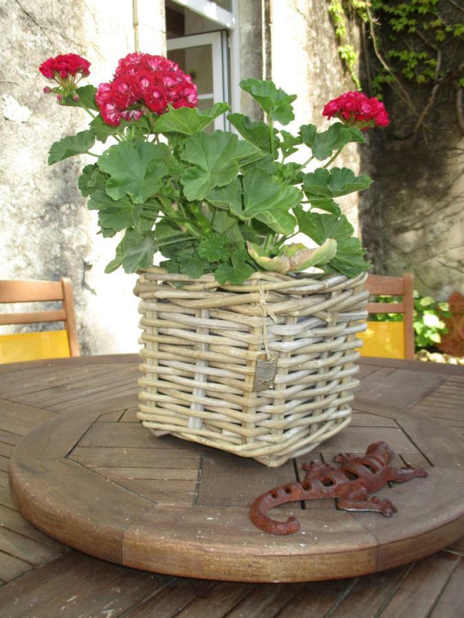 Вілла Logis De Bois Roche Saint-Bonnet-sur-Gironde Екстер'єр фото