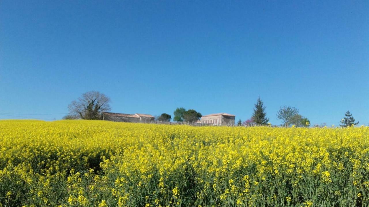 Вілла Logis De Bois Roche Saint-Bonnet-sur-Gironde Екстер'єр фото