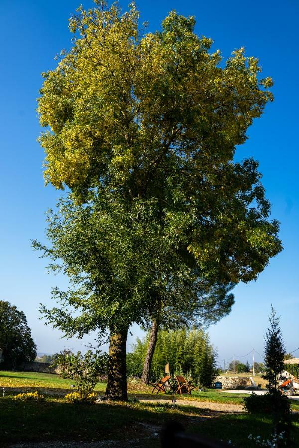 Вілла Logis De Bois Roche Saint-Bonnet-sur-Gironde Екстер'єр фото