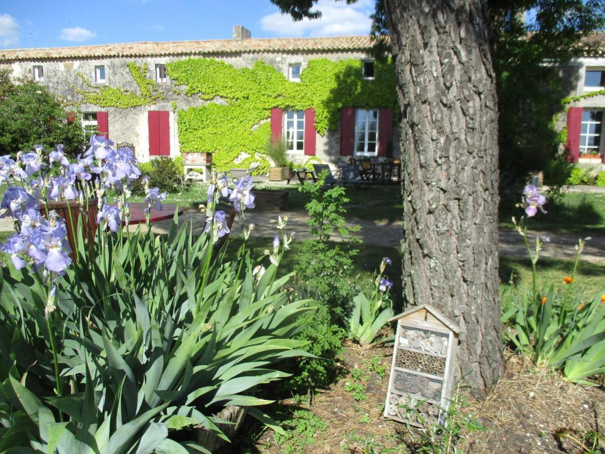 Вілла Logis De Bois Roche Saint-Bonnet-sur-Gironde Екстер'єр фото